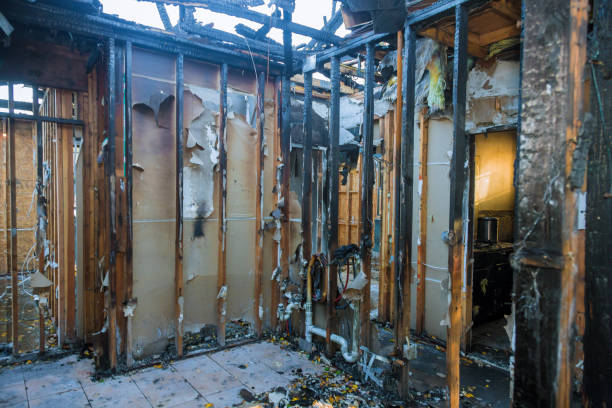 Professional Odor Removal technician working in Crum Lynne, PA